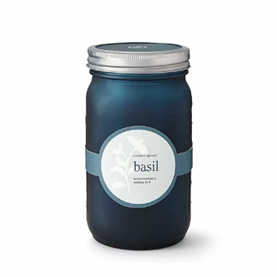 Mason Jar Herb